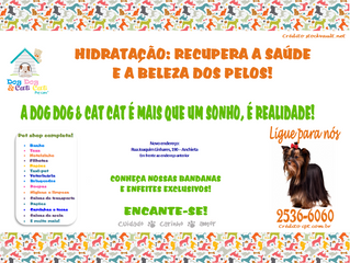 Nossos peludinhos mais lindos!