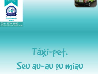 Seu amiguinho em ótimas mãos!