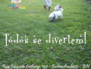 Diversão para valer!