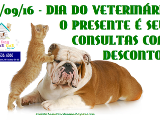 9 de setembro: o presente é seu!