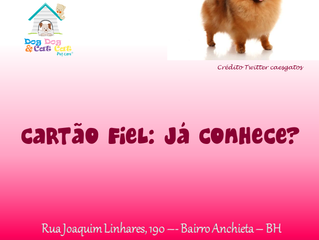 Cartão Fiel: você precisa conhecer.