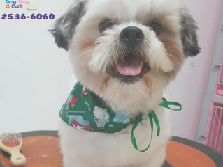 Banho de qualidade e com toda atenção!