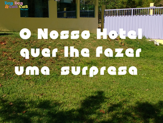 Quer se surpreender?