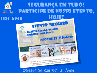 Segurança em todos os aspectos da vida do peludinho!