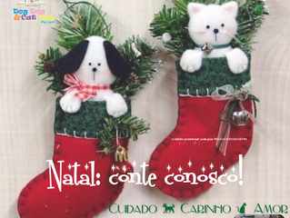 O nosso táxi-pet e você neste Natal!
