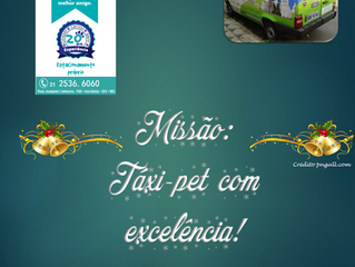 Missão: excelência!