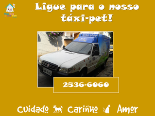 Ligue agora e agende o nosso táxi-pet!