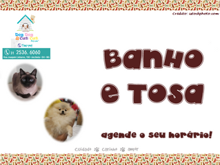 Banho e tosa da melhor qualidade!