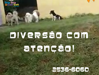 Muita diversão, mas sob atenção!