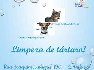 Cuidar dos dentes também!