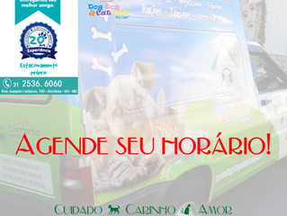 Nosso táxi-pet à sua espera!