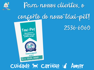 Nosso táxi-pet é o auxiliar dos nossos clientes em suas correrias!