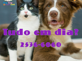 Vida longa, vida com saúde!