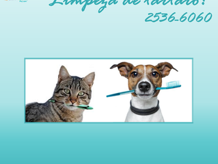 Saúde dos dentes: limpeza de tártaro!