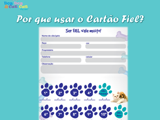 Por que usar?