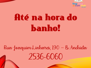 Cuidar da saúde, sempre!