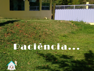 A paciência é uma virtude... Quase lá!