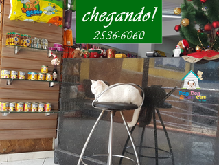 Natal chegando... Vamos nos preparar?