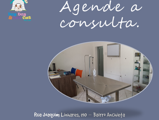 Consulta e bem-estar animal