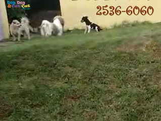 Comece na sexta, dia 7 de setembro!