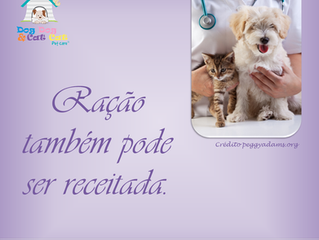 Qual a melhor ração?