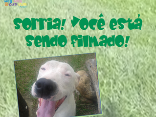Segurança é item essencial!