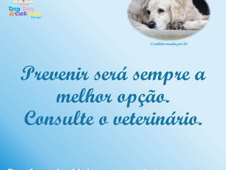 Prevenir, sempre.