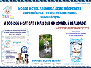 HOTEL: seu amigo com quem entende de hospedagem.