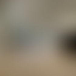 Modern Lime washed Tasmanian Oak - North Melbourne