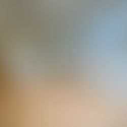 Timber Fix Baltic Pine and Tassie Oak with Sanding and Polishing - Williamstown