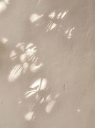 Schattenspiel an Wand_Canva Pro.jpg