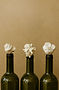 Wine Stopper_edited.jpg