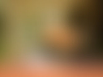 O que é uma "tiny house" e por que está virando tendência?