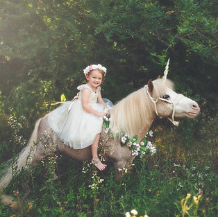 Megan Arnold Unicorn Session
