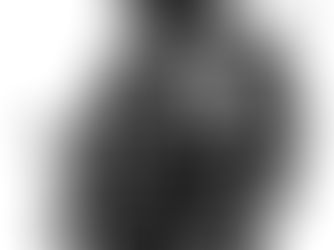 Art of the day 1554