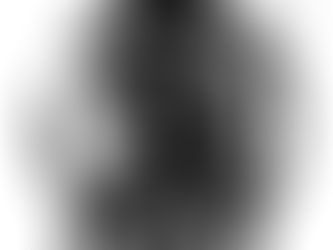 Art of the day 1571