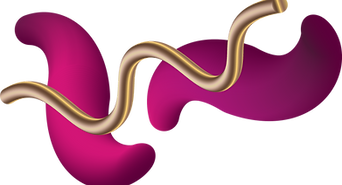 3D Shapes