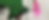 Headerbild Schwingenheuer_1_edited_edited.png