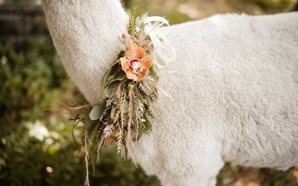 Hochzeit_Maria_&_Sandro_YZ_164