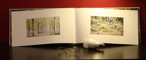 Miniatura: Foco Inteligente Control Wifi 3g 4g Xiaomi Yeelight