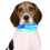 Miniatura: Collar Led Para Perros