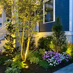 Blue house exterior, white stairs, vibrant landscaped garden with skillfully installed night lighting. | Down To Earth Landscaping | Jackson New Jersey, USA (732) 833-7702
