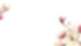 search-background-img.jpg