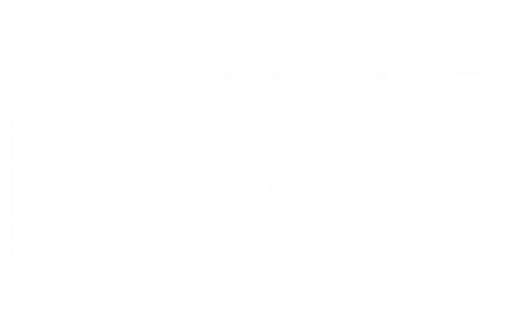 fresh Mediterranean ingredients