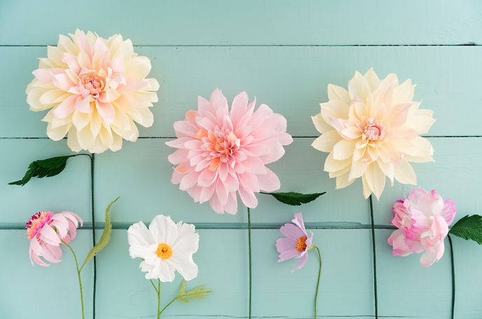 Paper flowers_edited_edited.jpg