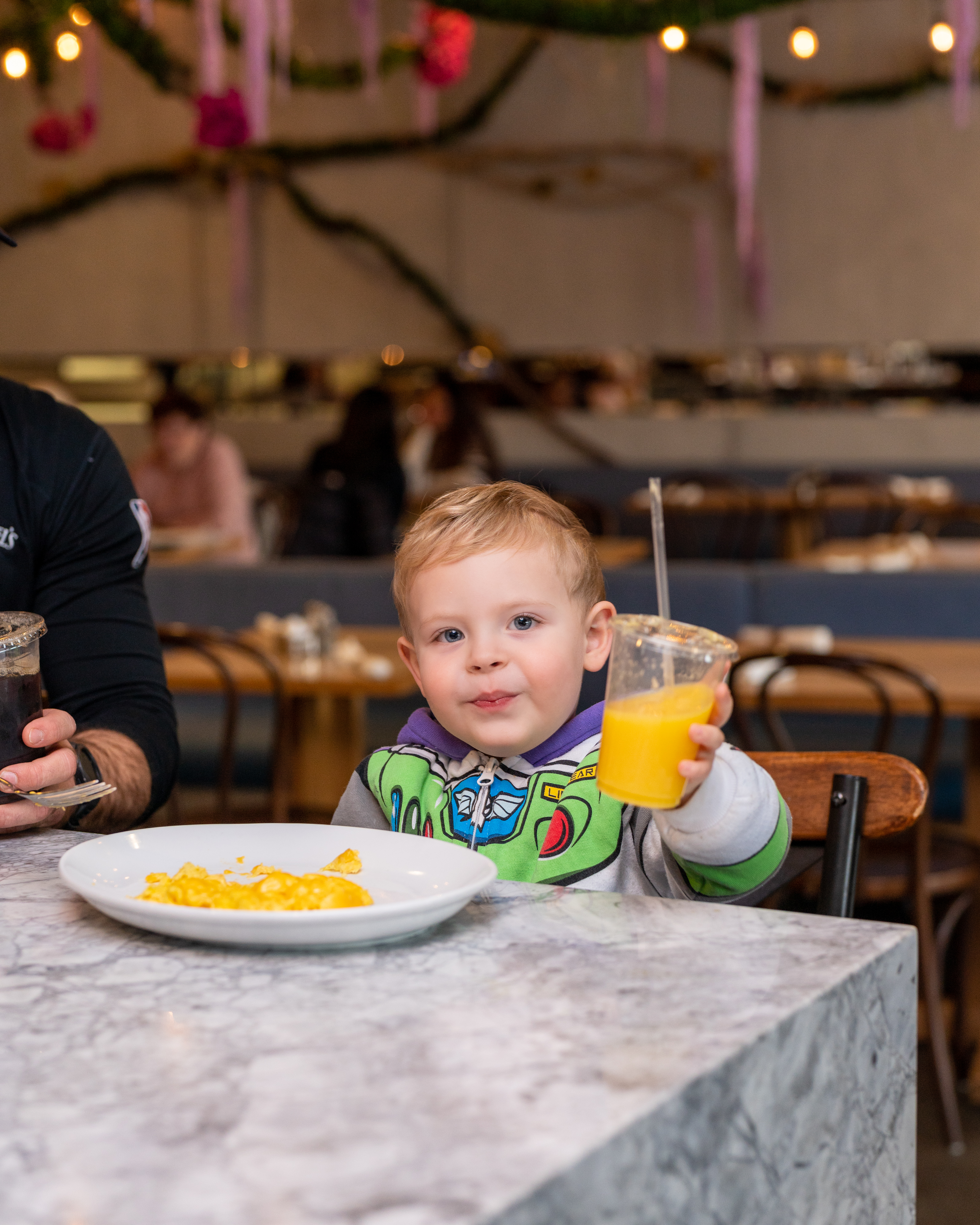 Arranged Food and Objects