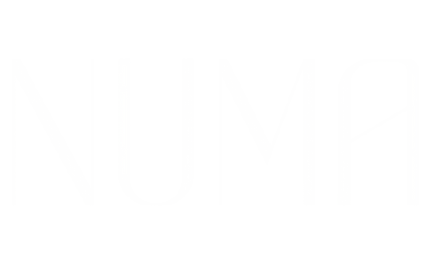 Mediterranean mezze NJ