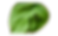 pixelcut-export (1).png