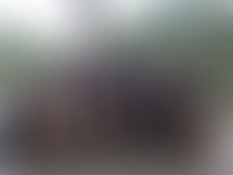 Graduados en Administración