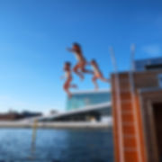 Havørnen_hopp.jpeg